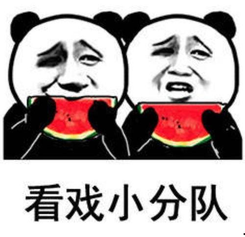 娱乐圈吃瓜表情包是谁