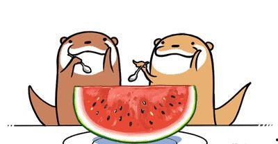 吃瓜大会招标,一场舌尖上的狂欢盛宴