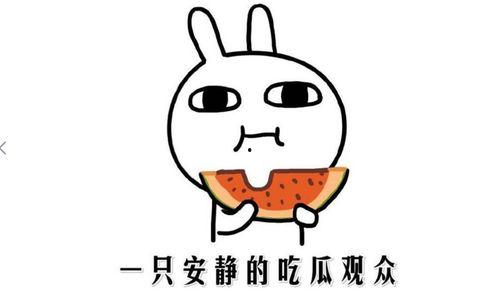 抖音上娱乐圈吃瓜